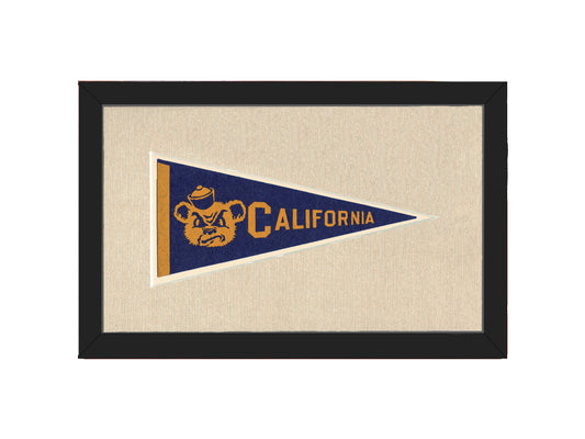 Vintage University of California Pennant