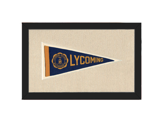 Vintage Lycoming College Pennant