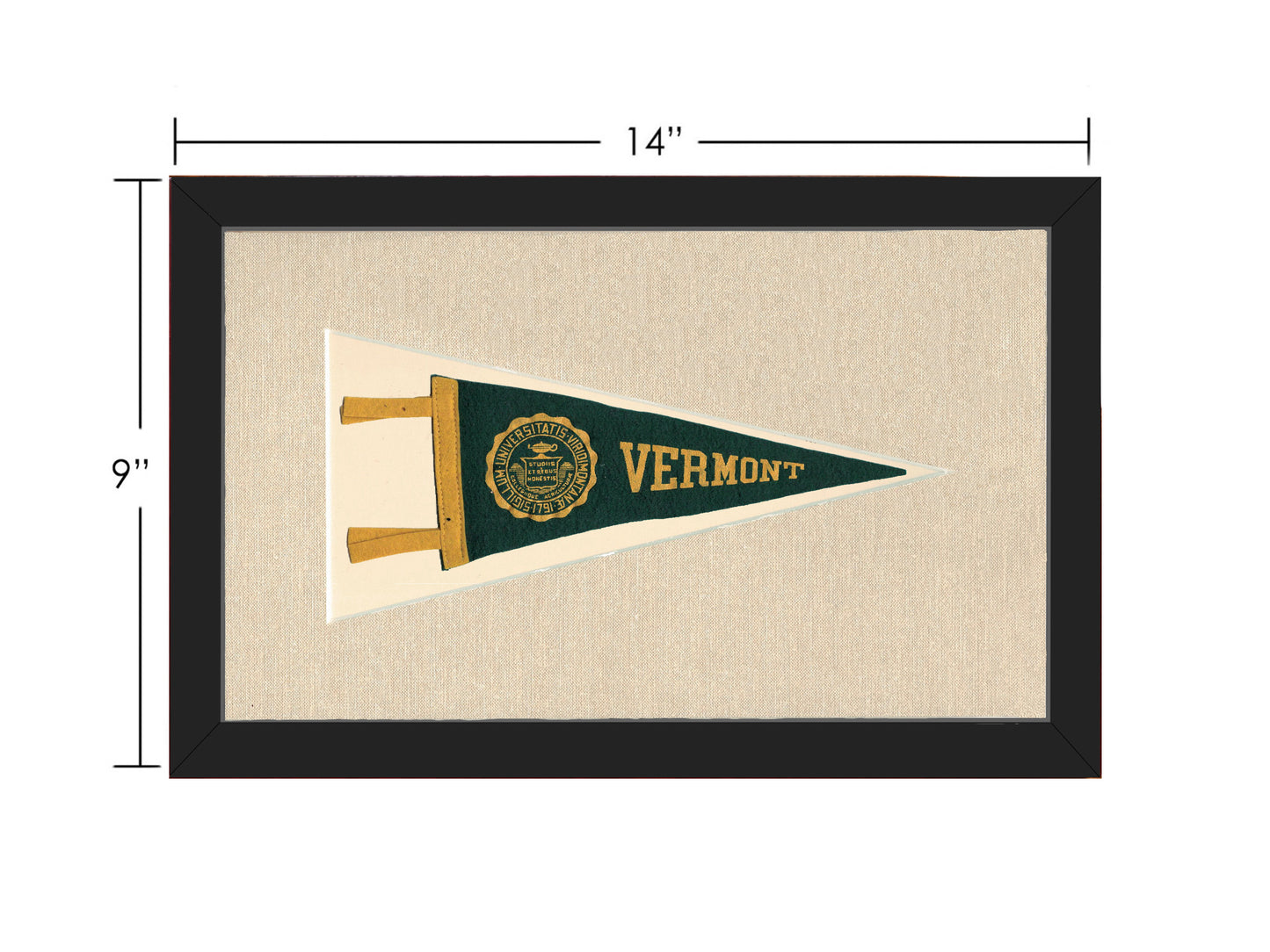 Vintage Vermont University Pennant