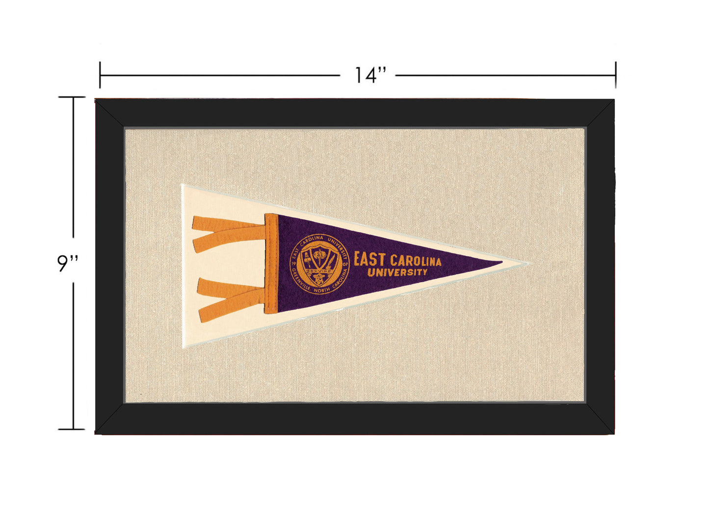 Vintage East Carolina University Pennant