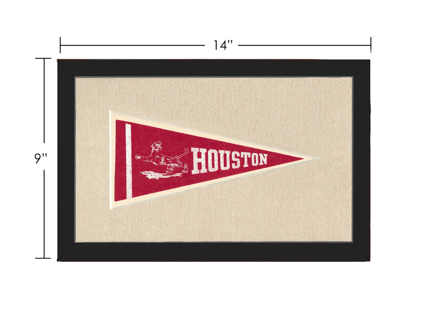 Vintage Houston Pennant