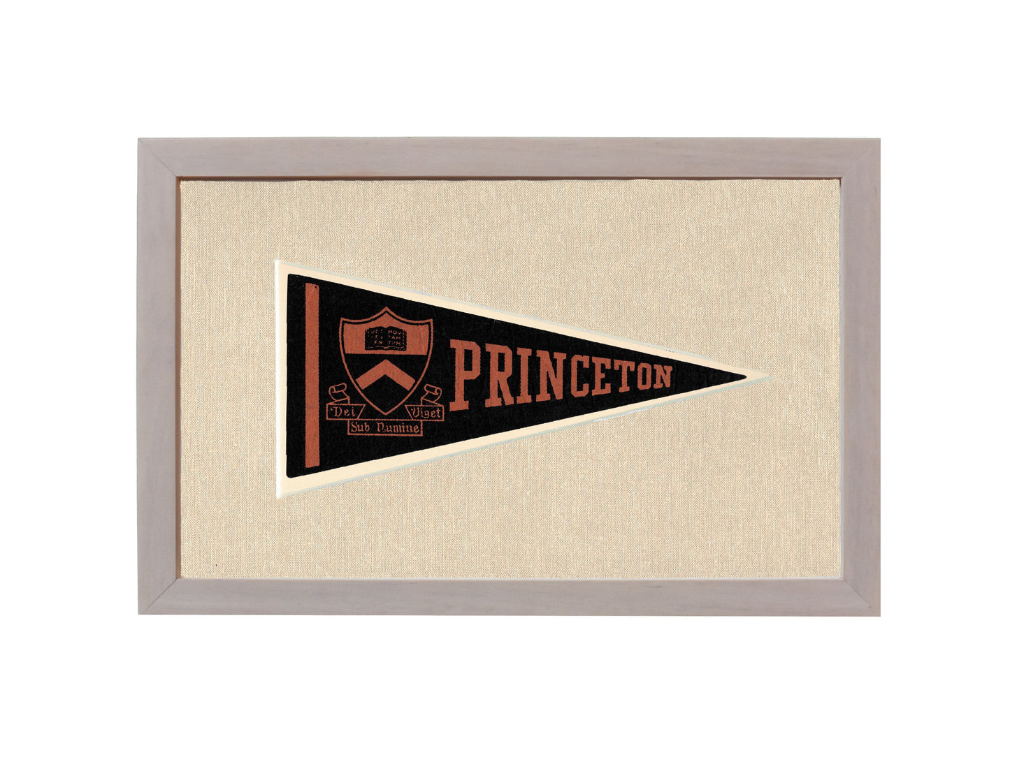 Vintage Princeton Pennant