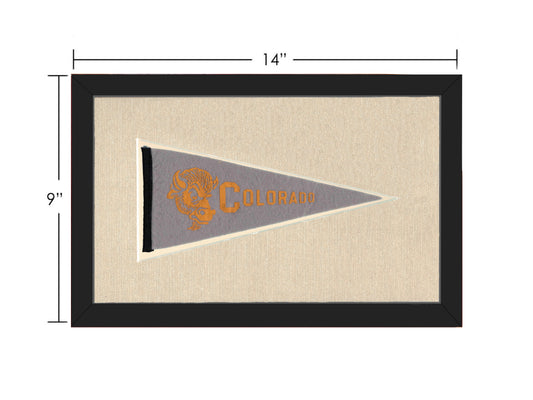 Vintage Colorado Pennant