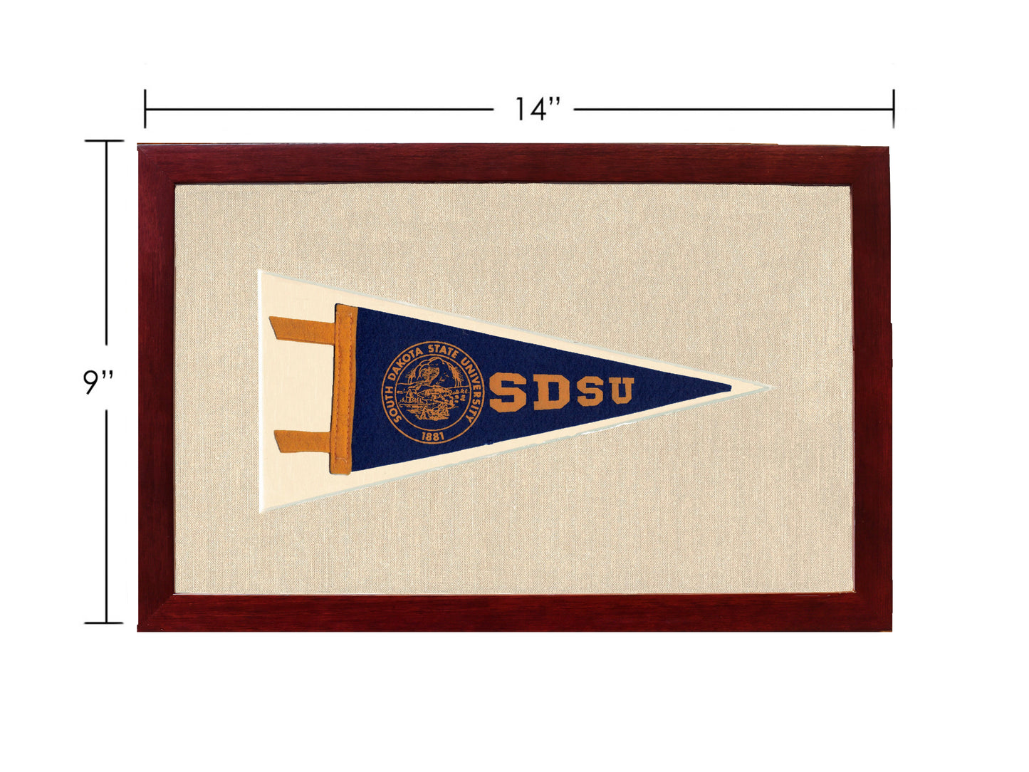 Vintage South Dakota State University Pennant