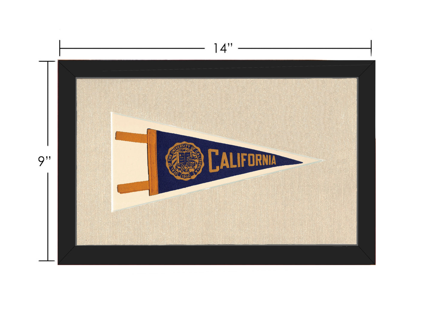 Vintage University of California Pennant