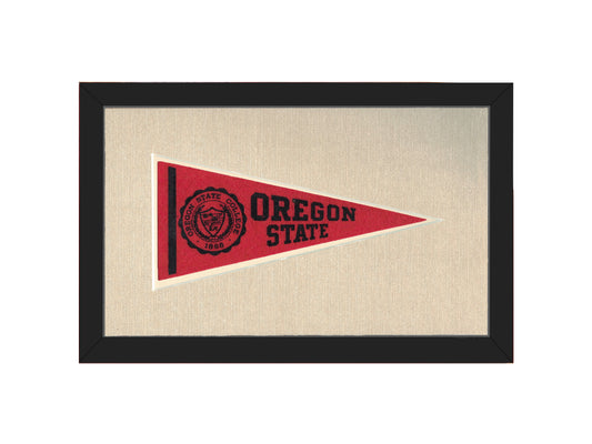 Vintage Michigan State Pennant