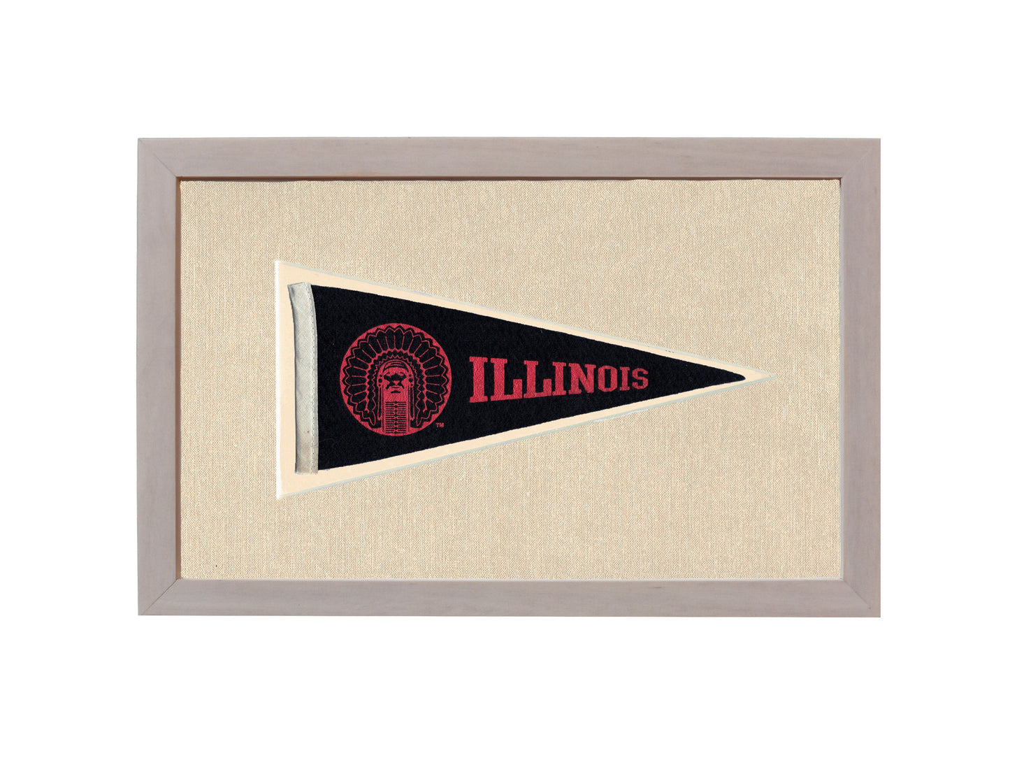 Vintage Illinois Pennant