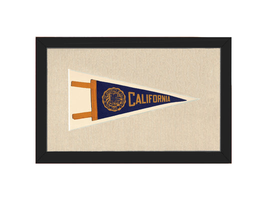 Vintage University of California Pennant