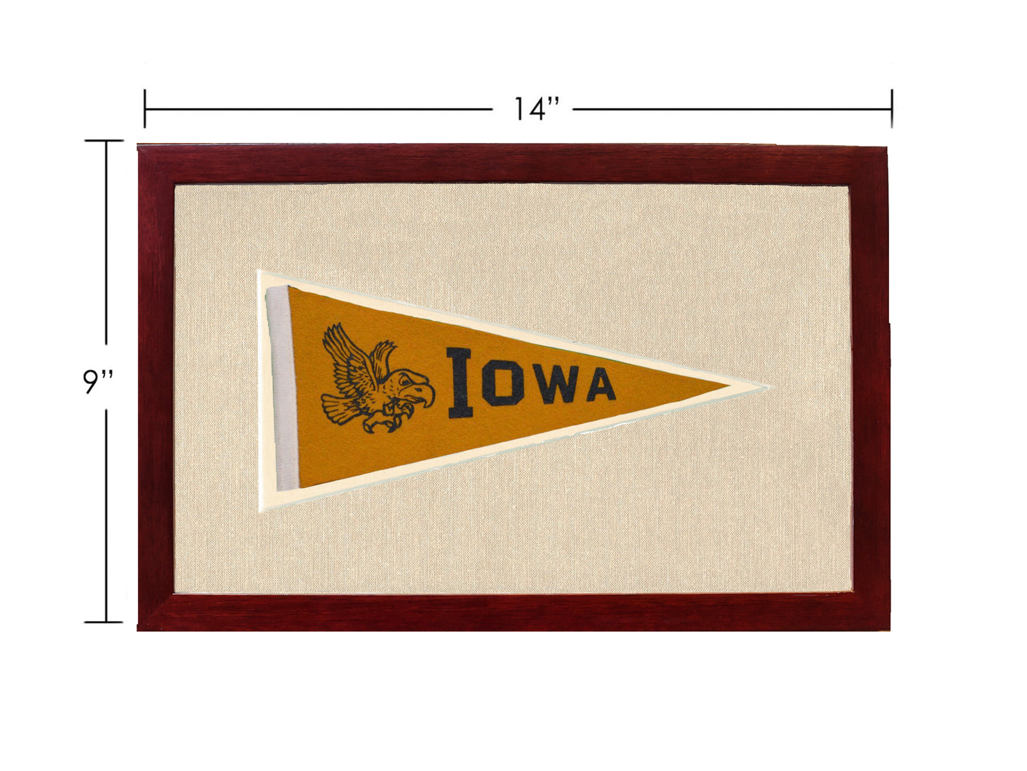 Vintage University of Iowa Pennant
