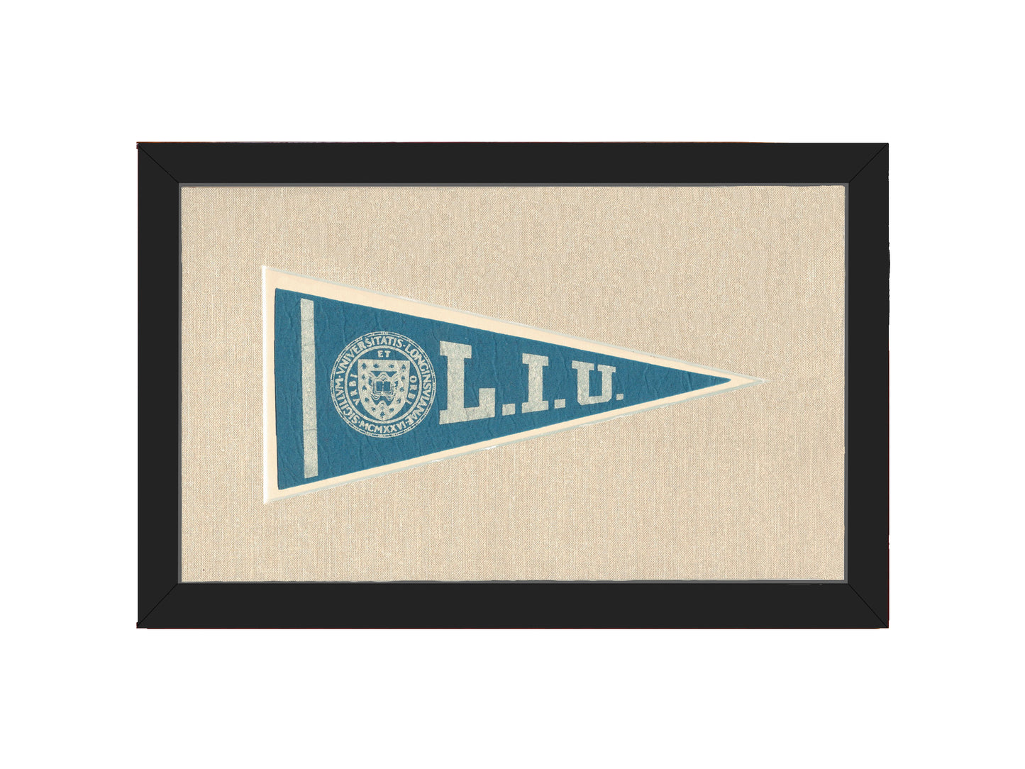 Vintage Long Island University Pennant