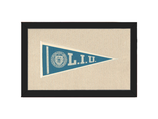 Vintage Long Island University Pennant