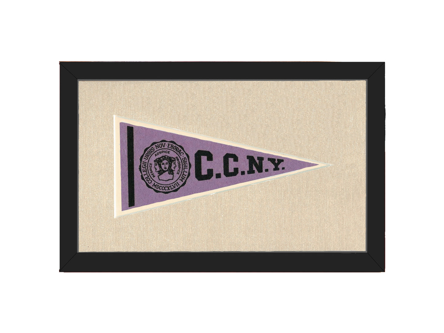 Vintage City College of New York Pennant