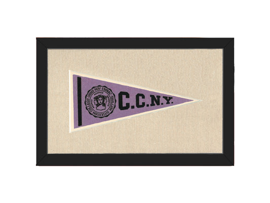 Vintage City College of New York Pennant