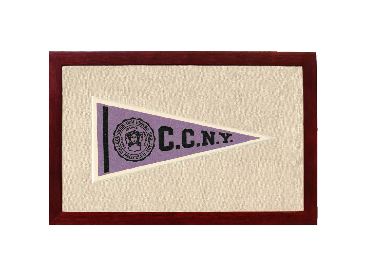 Vintage City College of New York Pennant