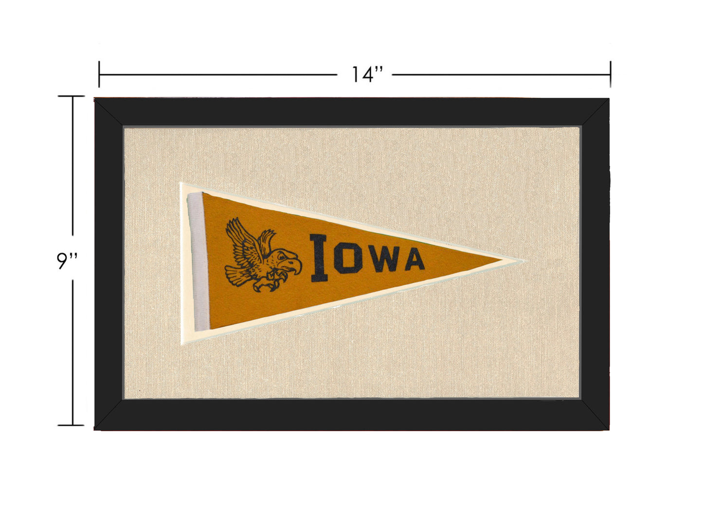 Vintage University of Iowa Pennant
