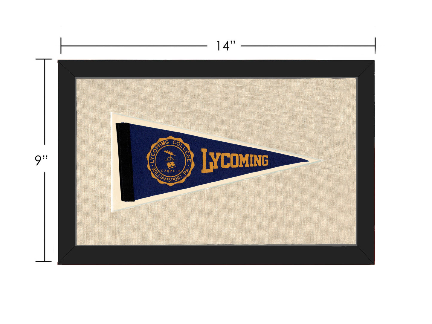 Vintage Lycoming College Pennant