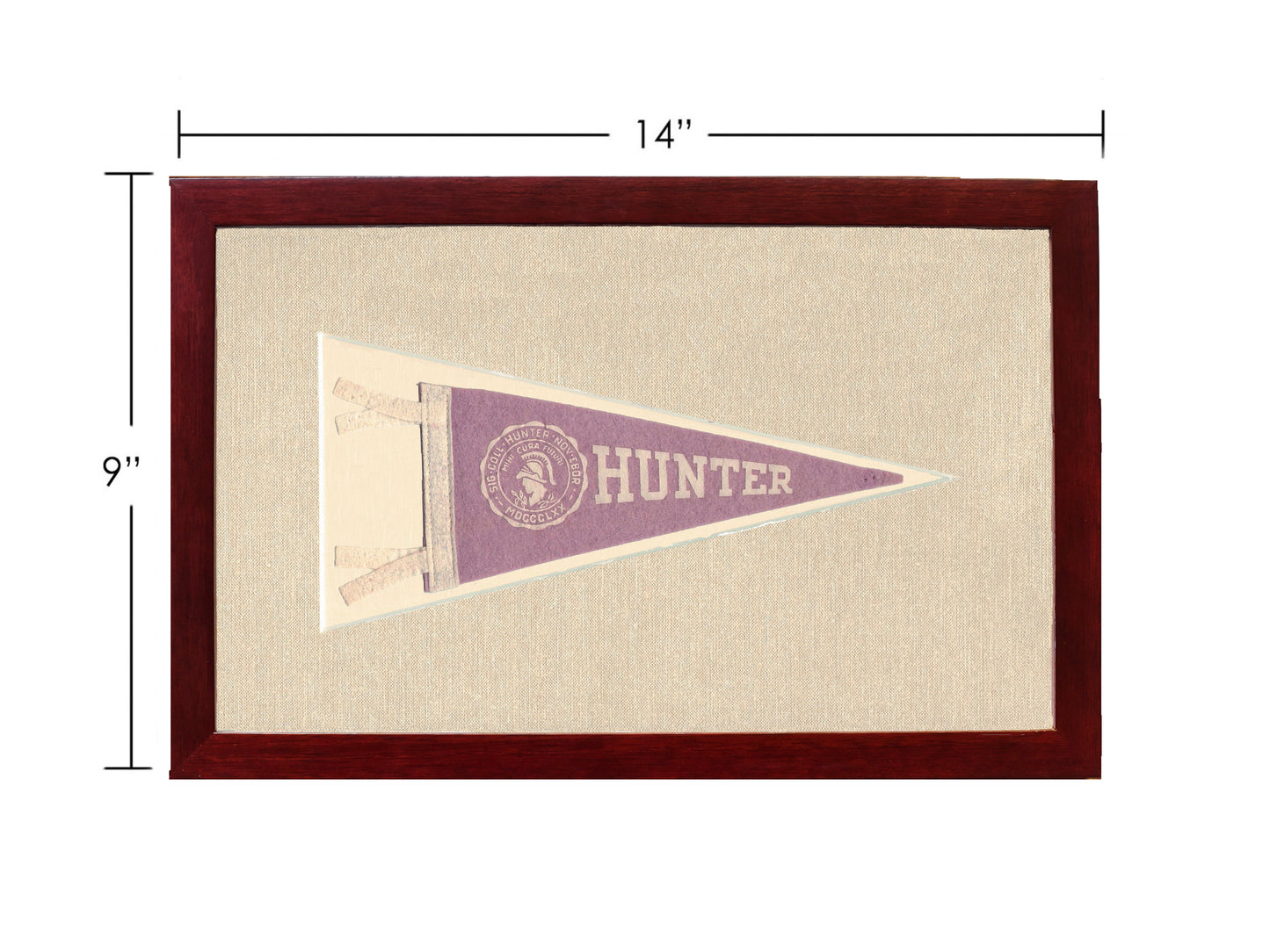 Vintage Hunter College Pennant