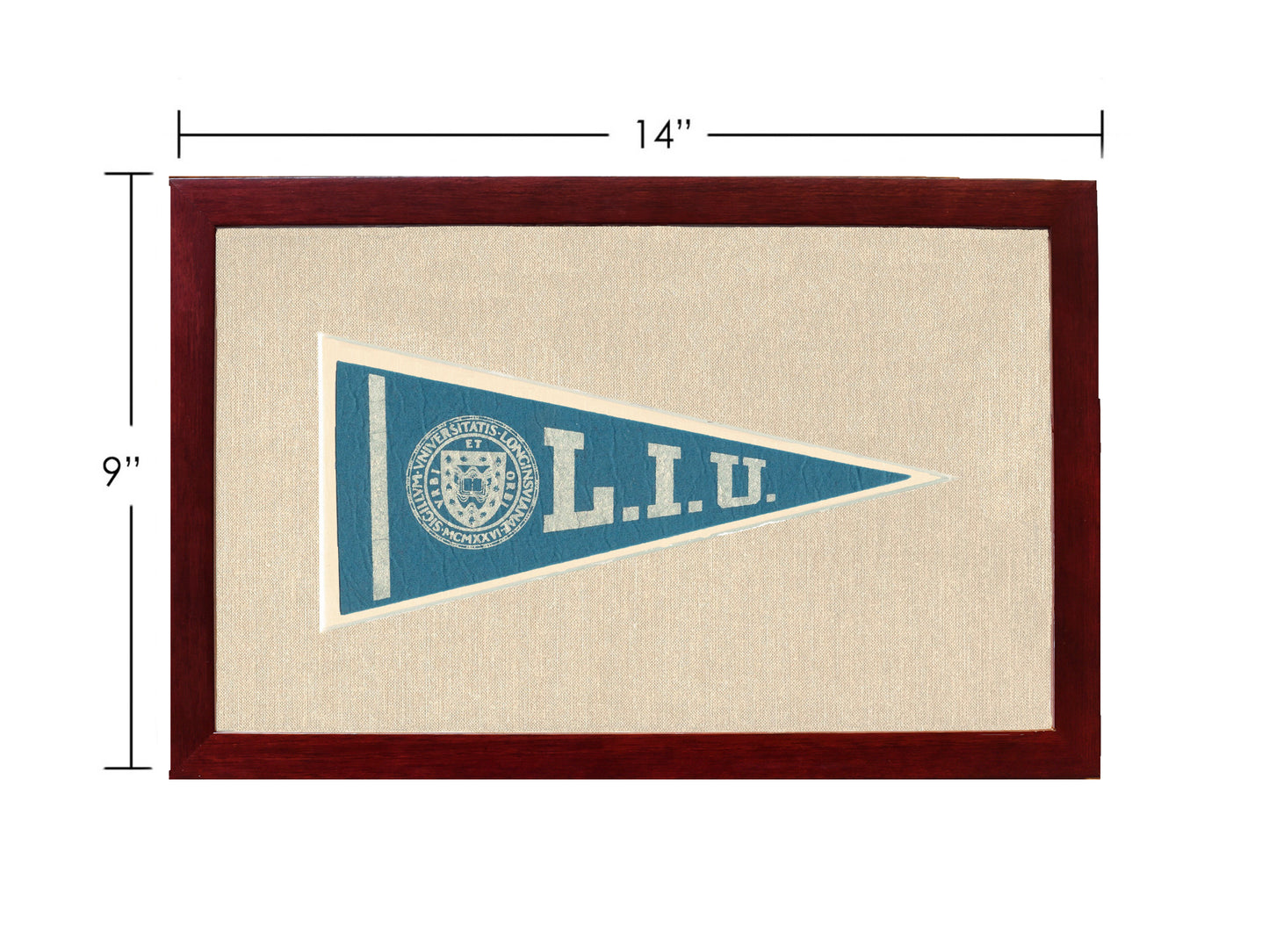Vintage Long Island University Pennant