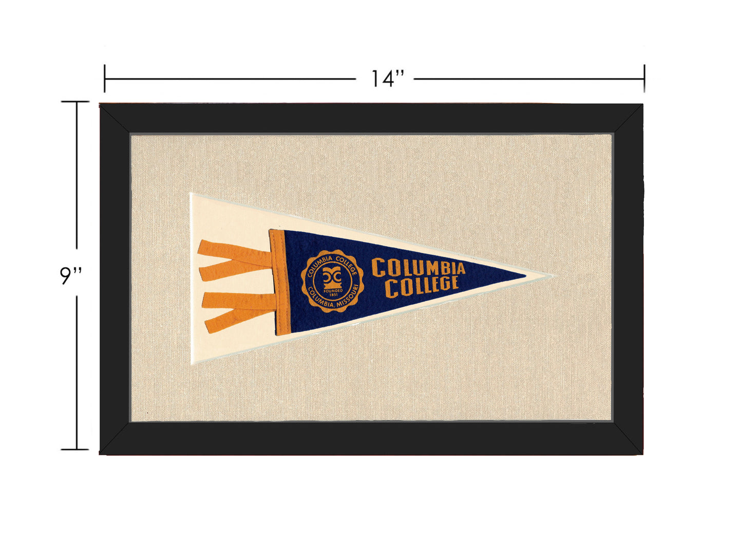 Vintage Columbia College Pennant