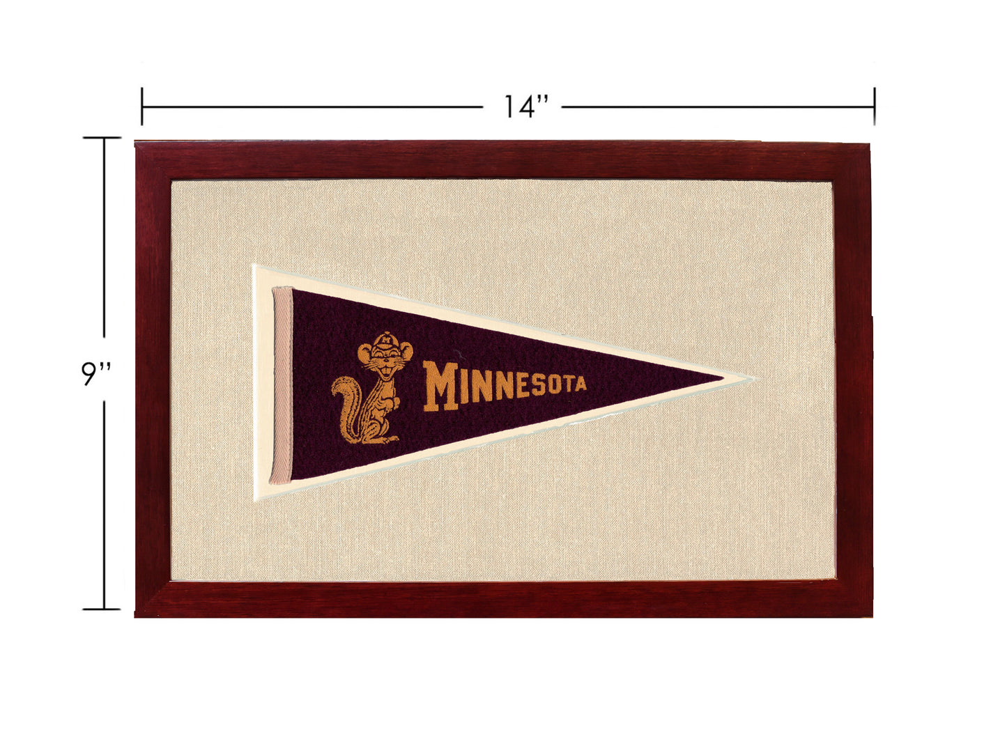 Vintage Minnesota Pennant