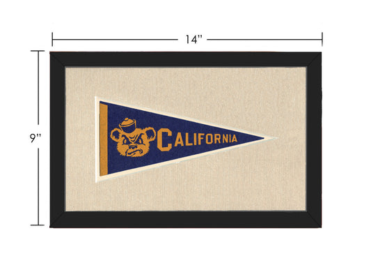Vintage University of California Pennant