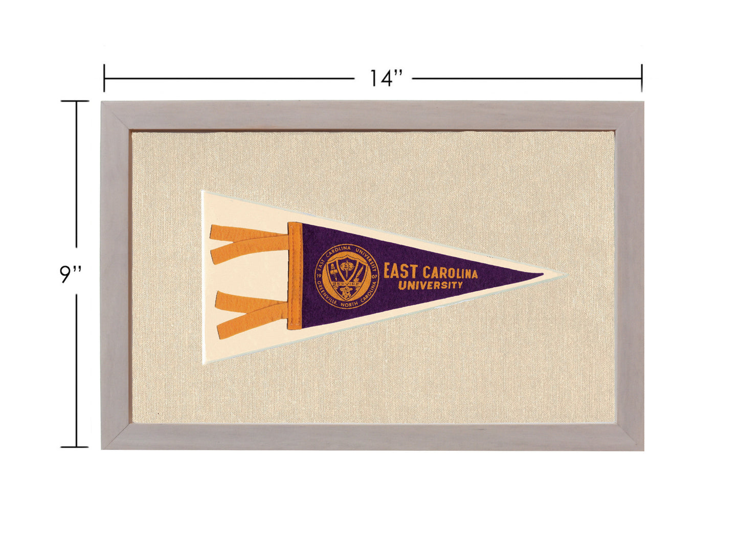 Vintage East Carolina University Pennant