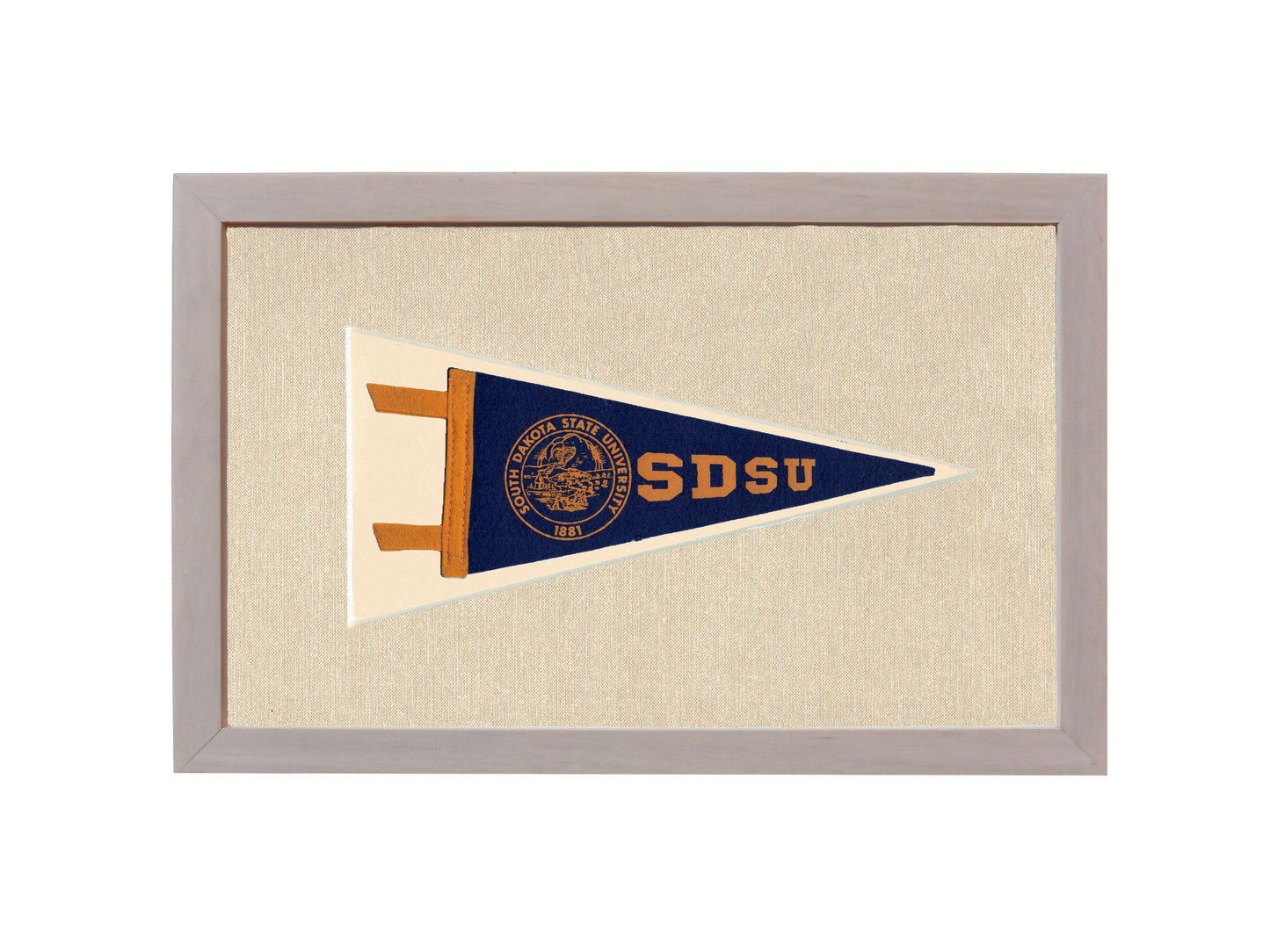 Vintage South Dakota State University Pennant