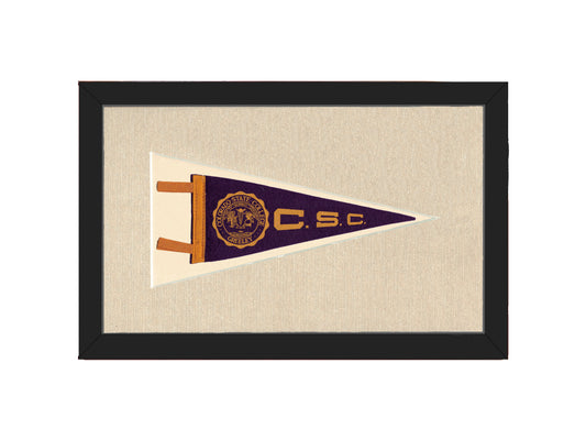 Vintage Colorado State College Pennant