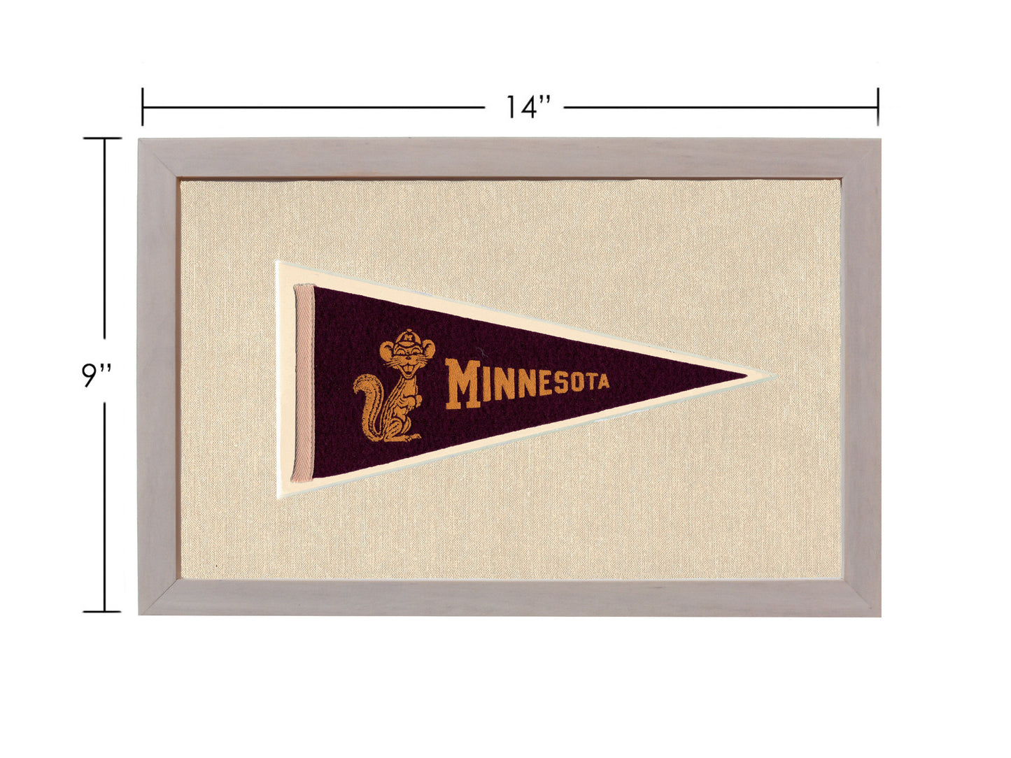 Vintage Minnesota Pennant