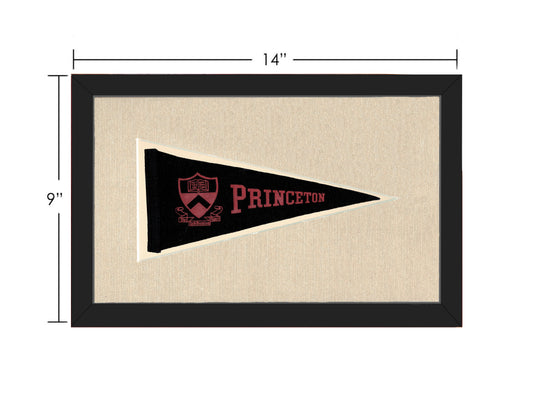 Vintage Princeton Pennant