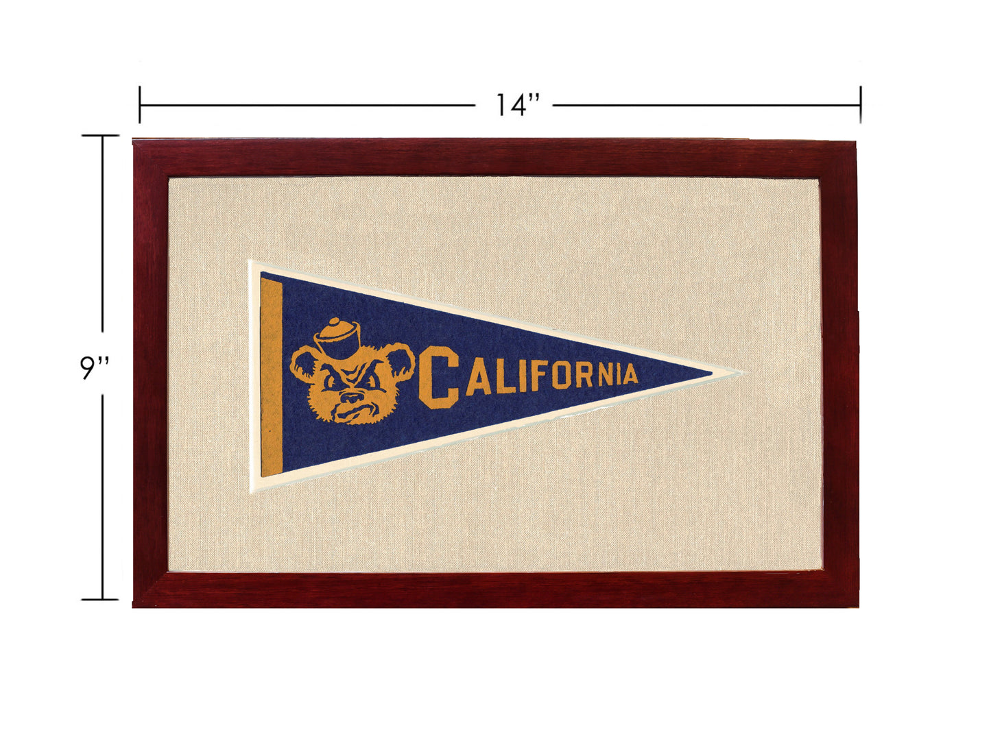 Vintage University of California Pennant