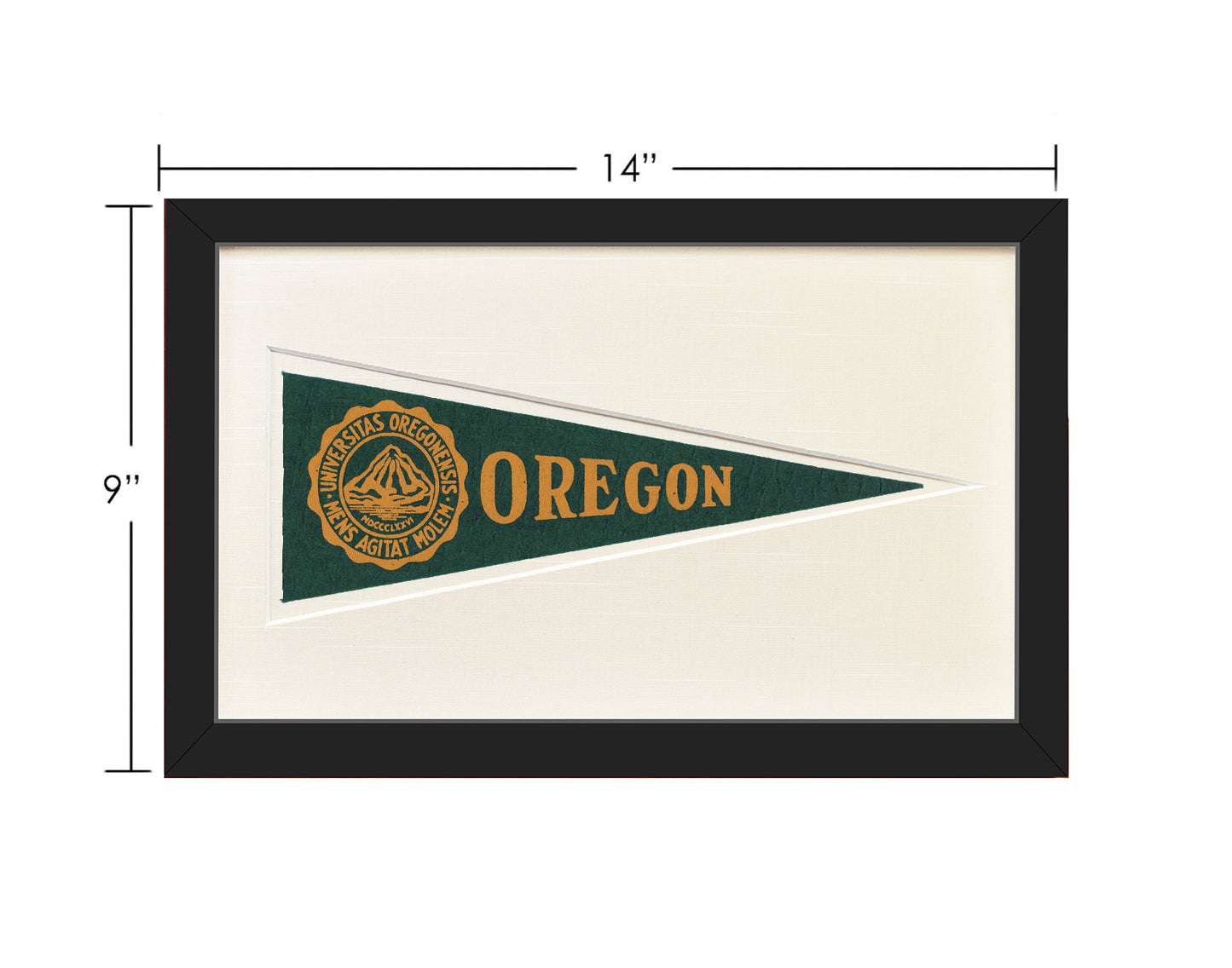 Vintage University of Oregon Hormel Pennant