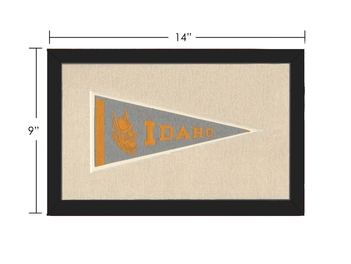 Vintage University of Idaho Pennant
