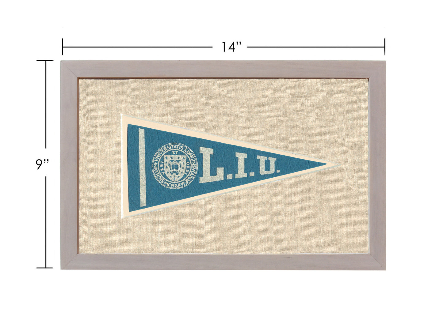 Vintage Long Island University Pennant