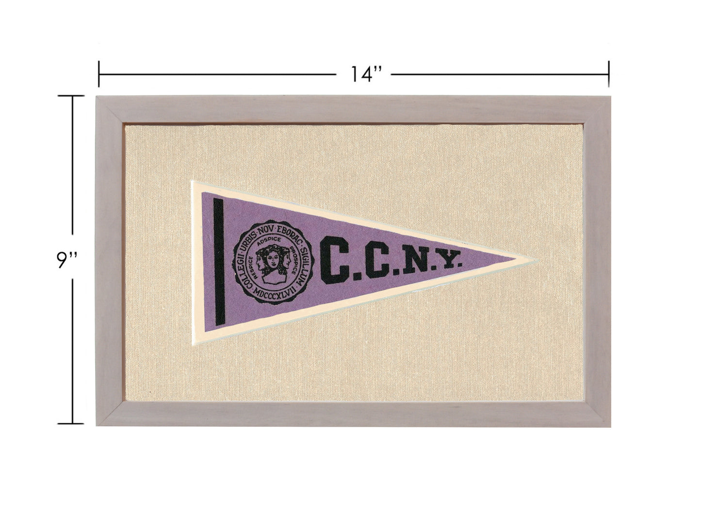 Vintage City College of New York Pennant