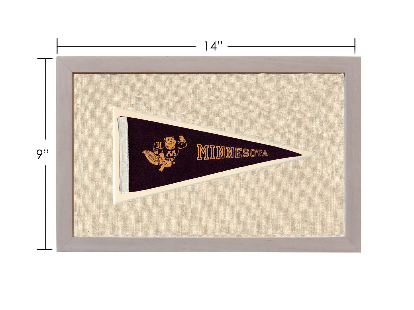 Vintage Minnesota Pennant