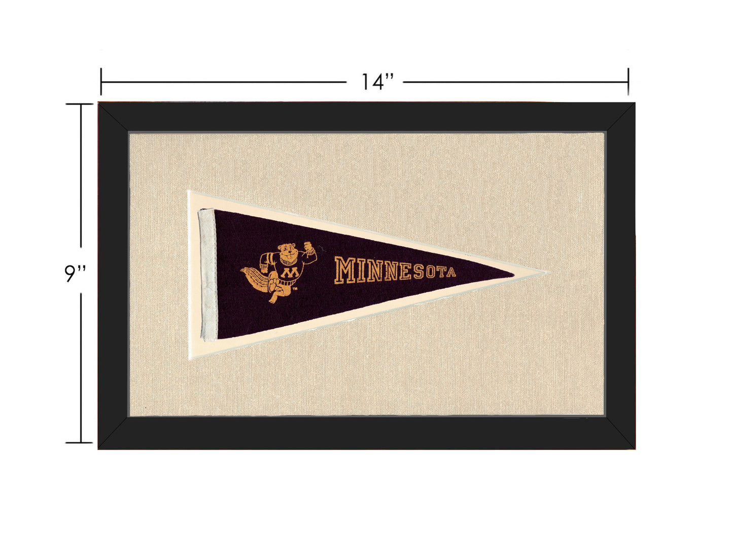 Vintage Minnesota Pennant