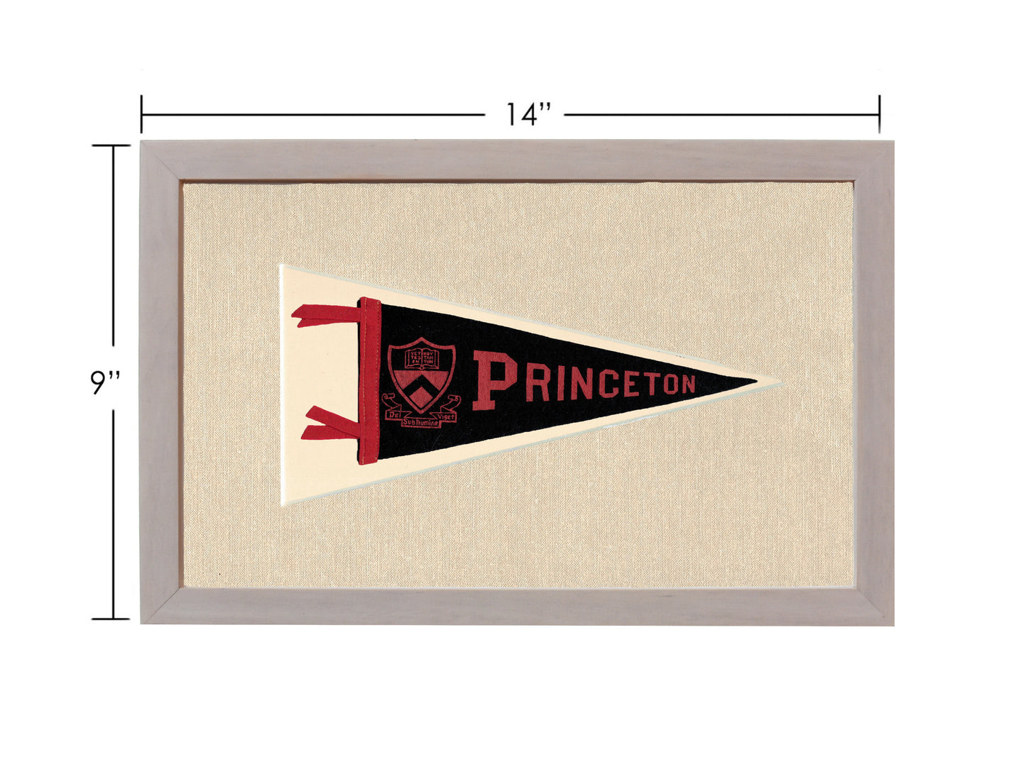 Vintage Princeton Pennant