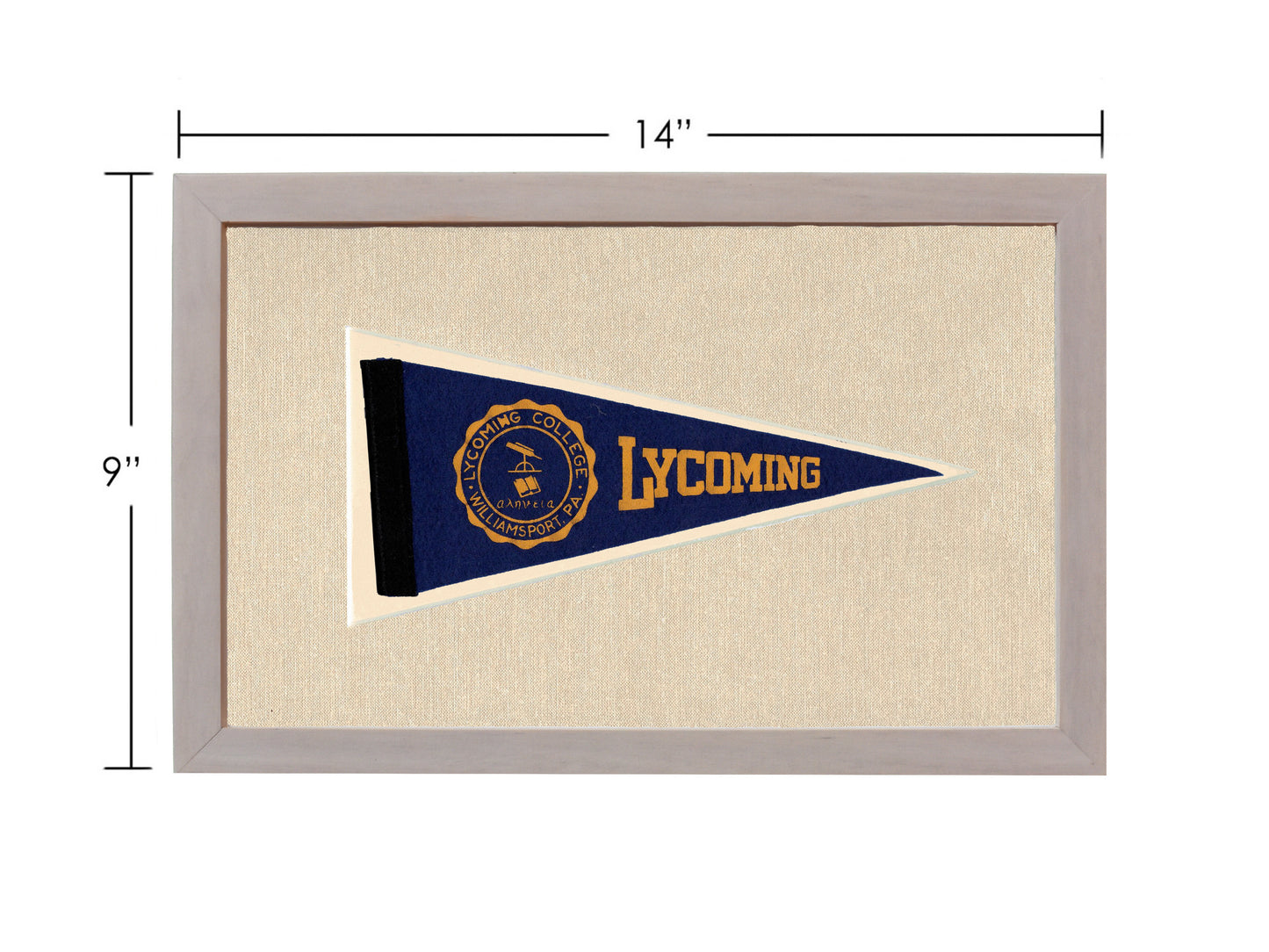 Vintage Lycoming College Pennant