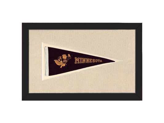 Vintage Minnesota Pennant