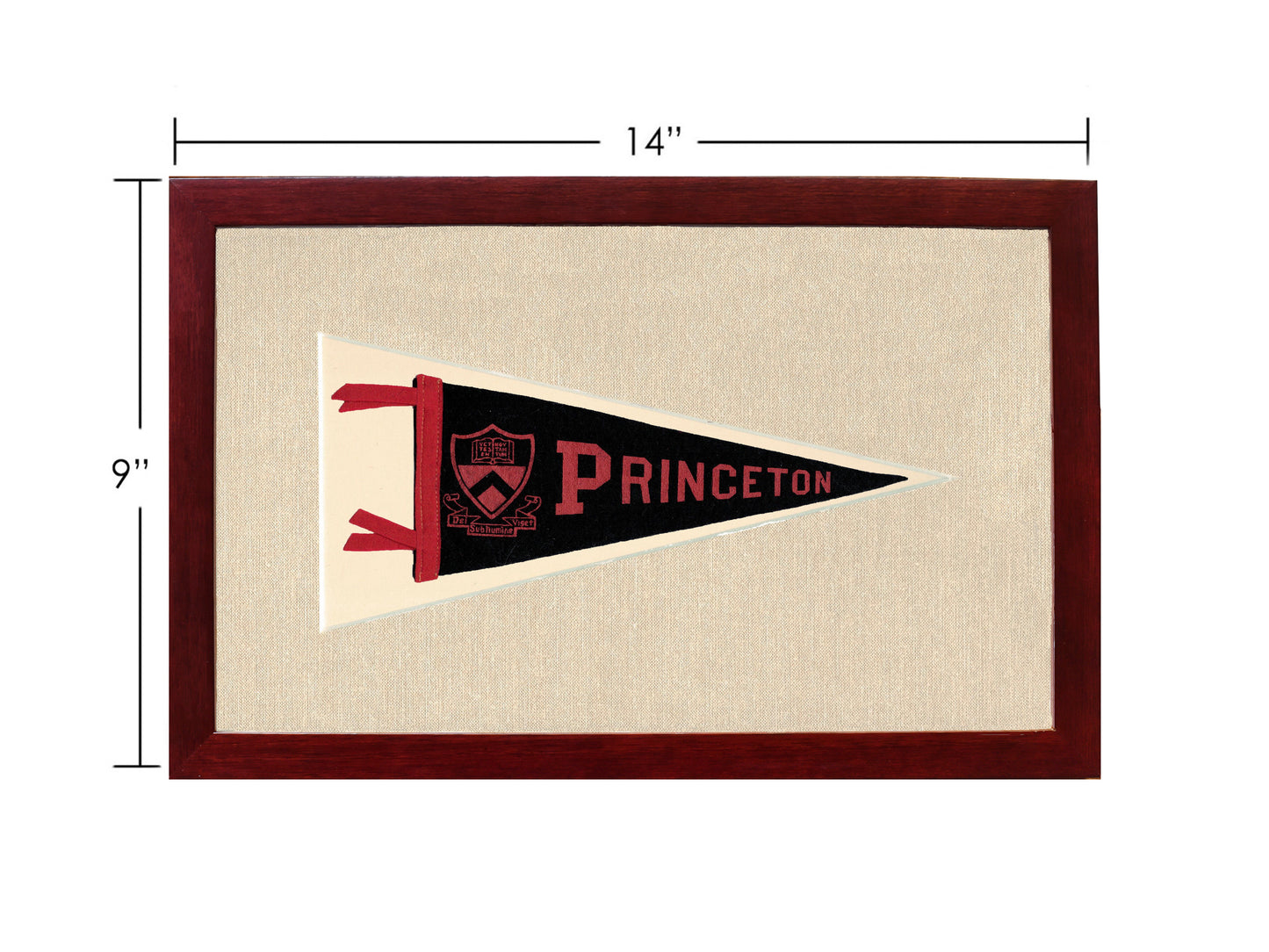 Vintage Princeton Pennant