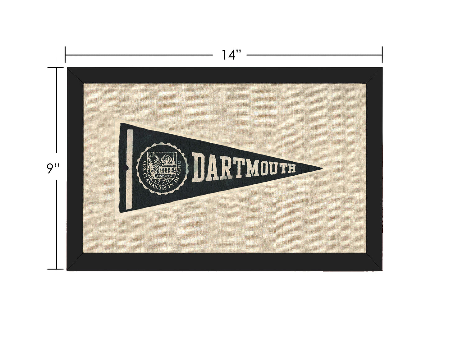 Vintage Dartmouth College Pennant