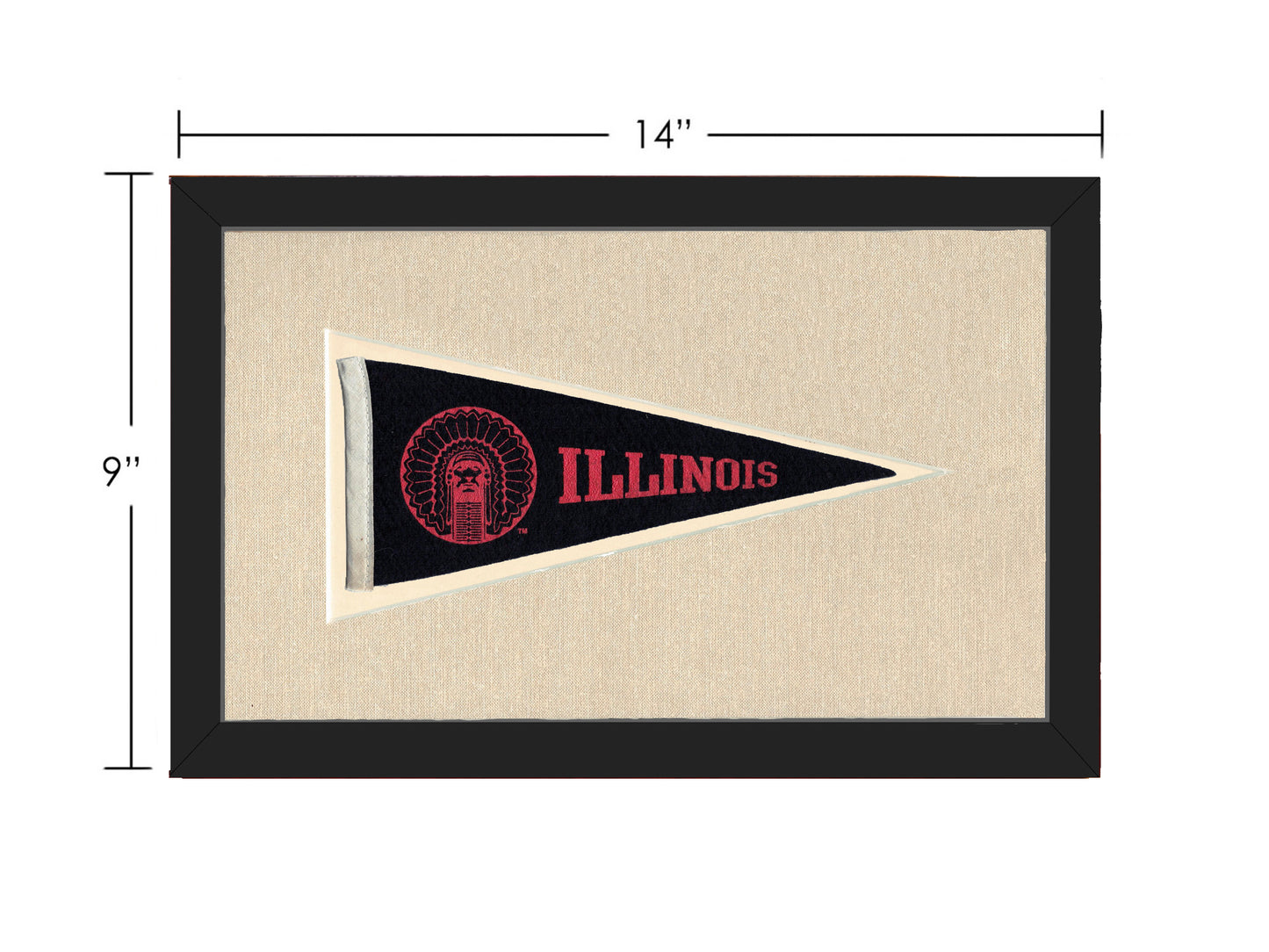 Vintage Illinois Pennant