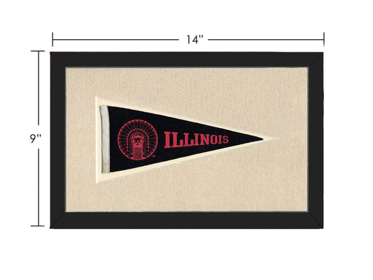 Vintage Illinois Pennant