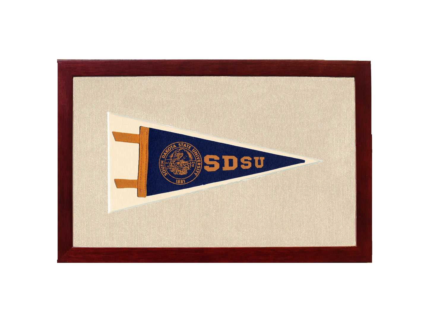 Vintage South Dakota State University Pennant