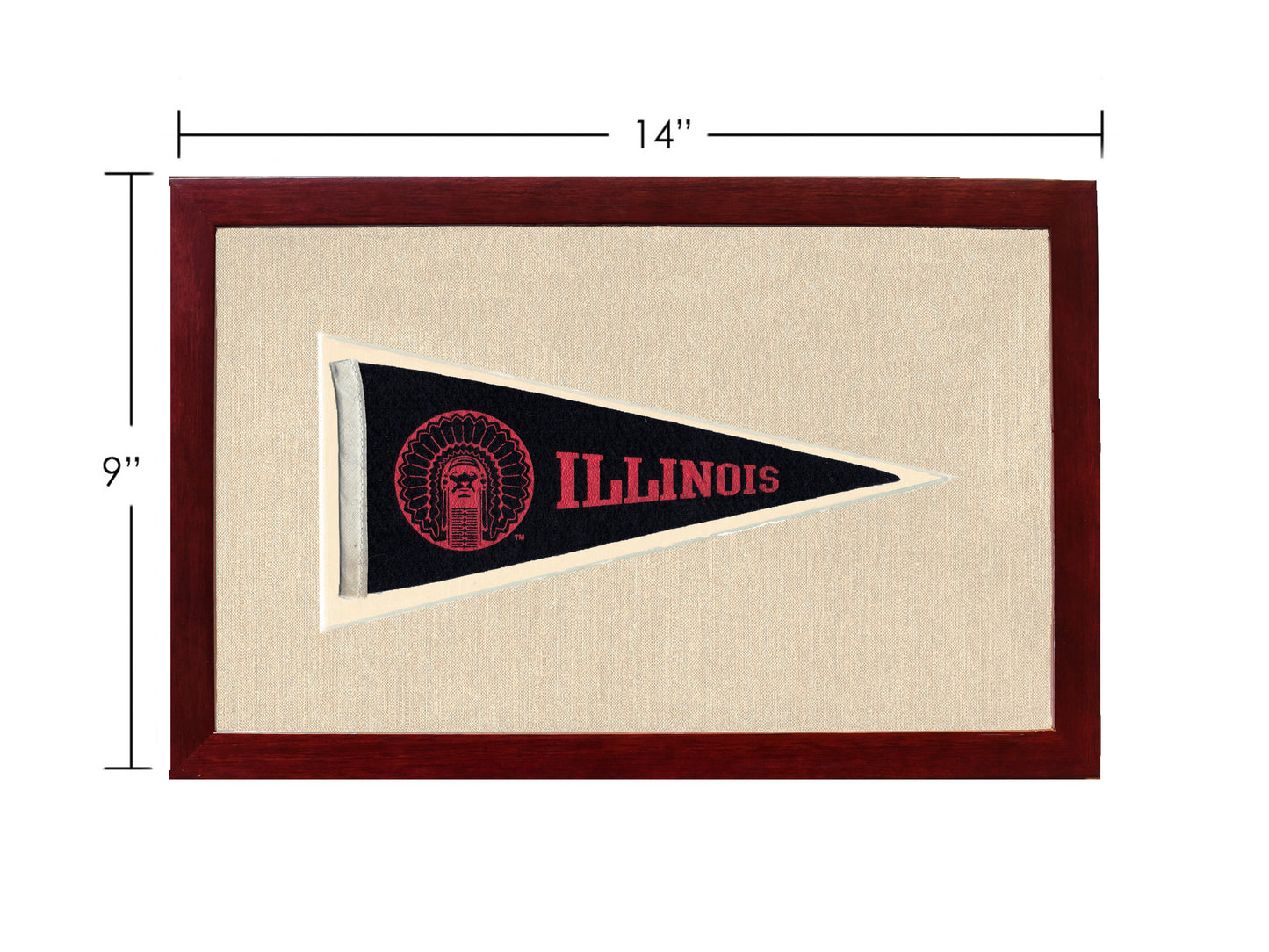 Vintage Illinois Pennant