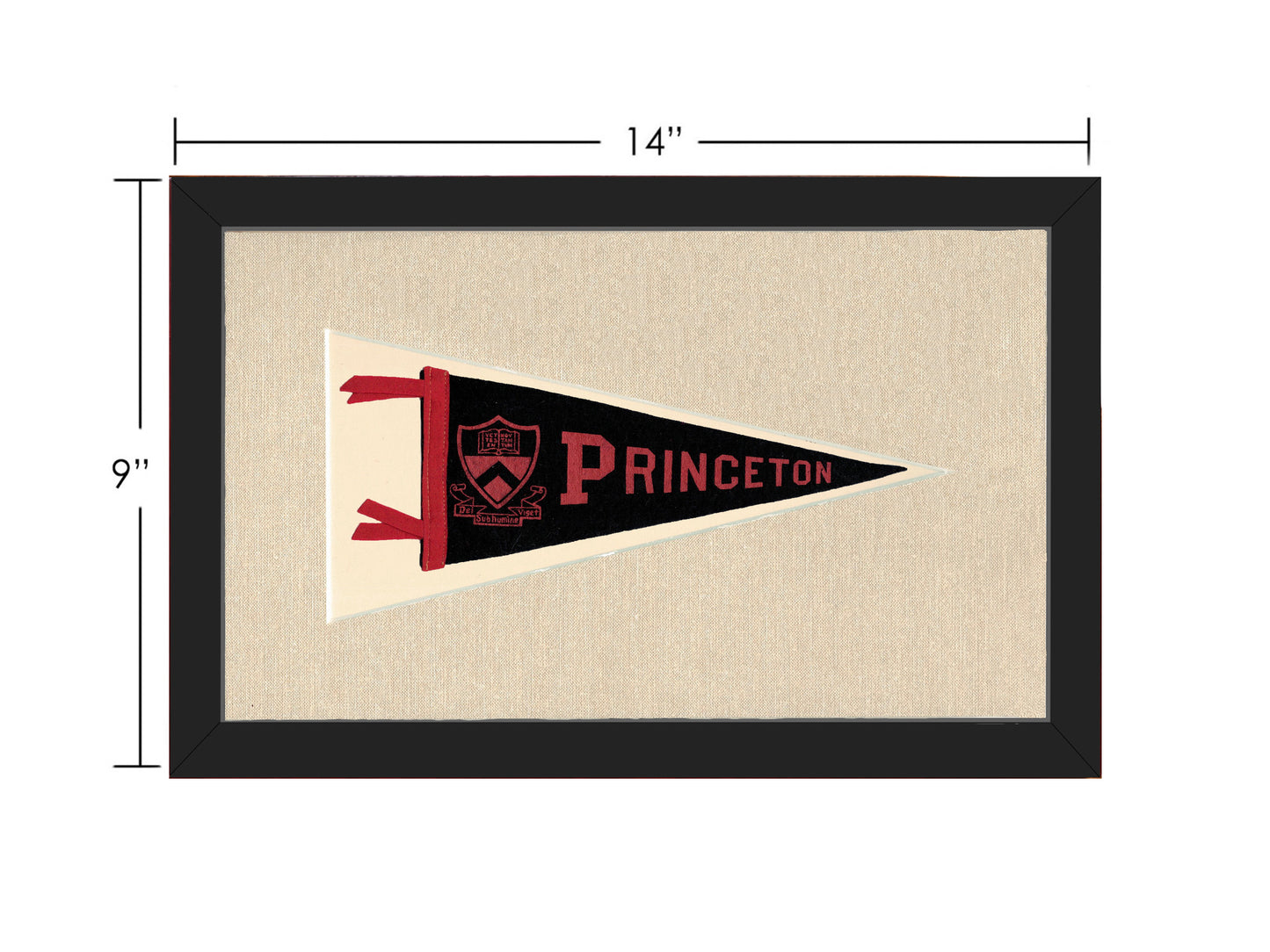 Vintage Princeton Pennant