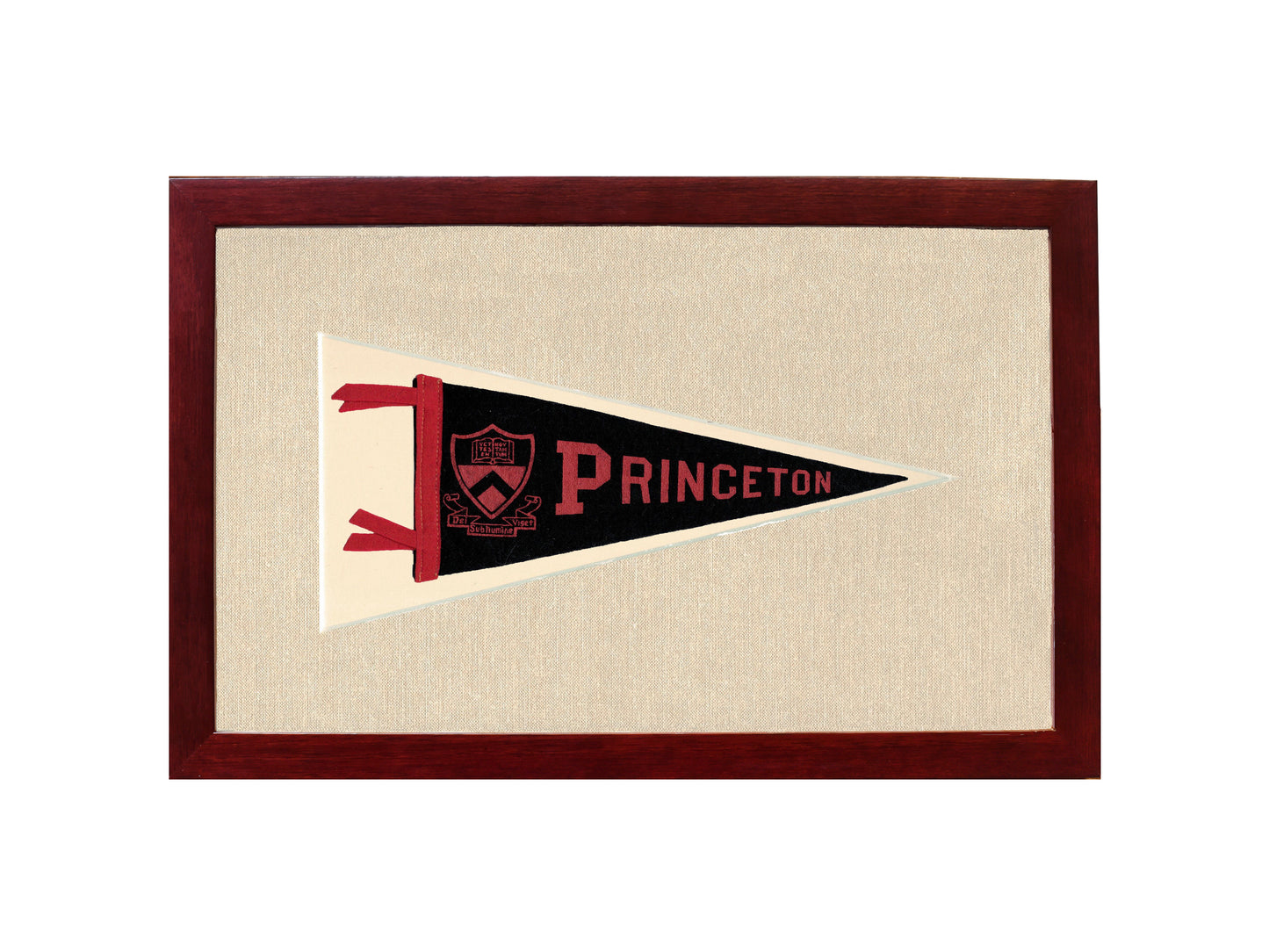 Vintage Princeton Pennant