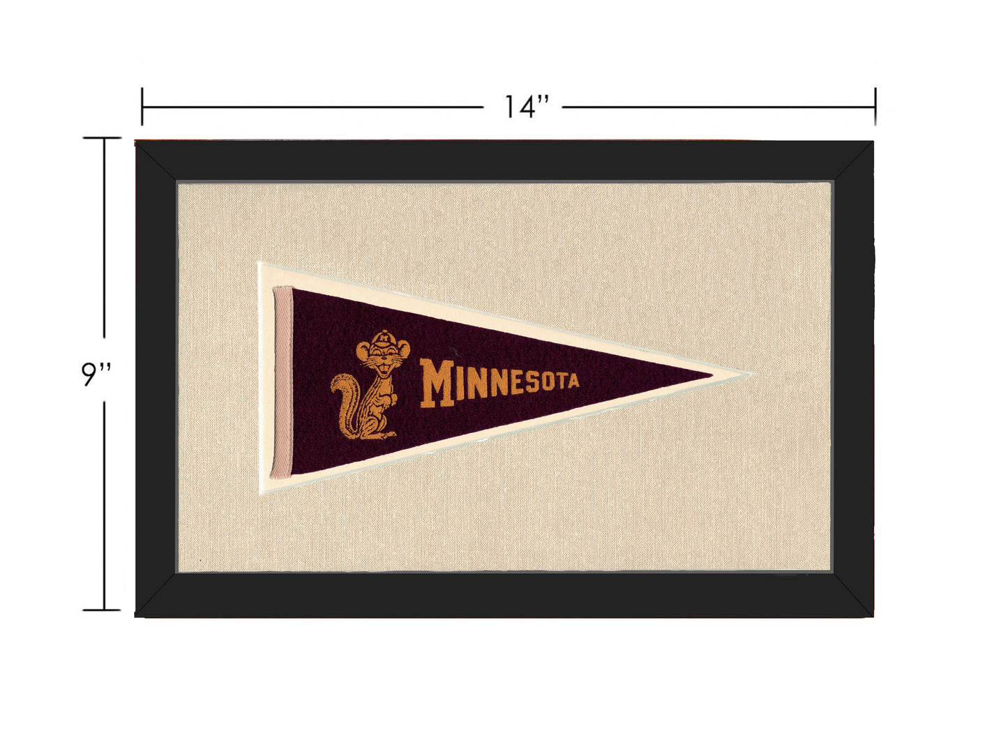 Vintage Minnesota Pennant
