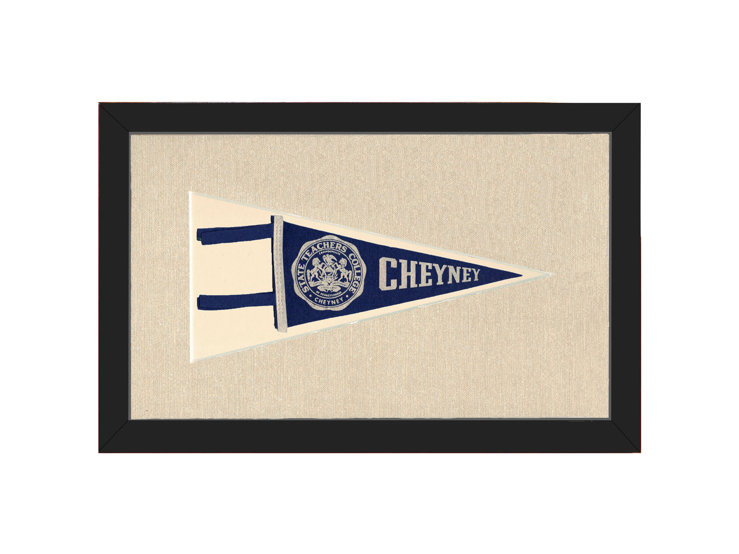 Vintage State Teachers College Pennant